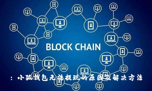 : 小狐钱包无法提现的原因及解决方法