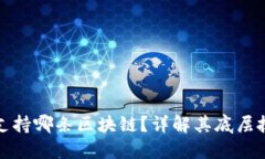 小狐钱包支持哪条区块链？详解其底层技术与优