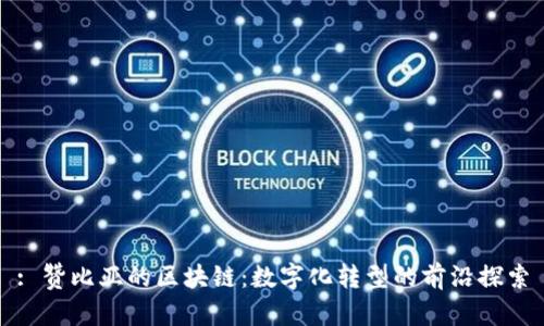 : 赞比亚的区块链：数字化转型的前沿探索