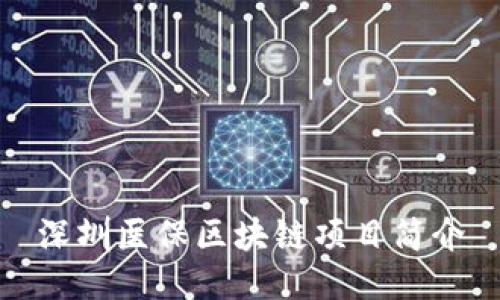 深圳医保区块链项目简介